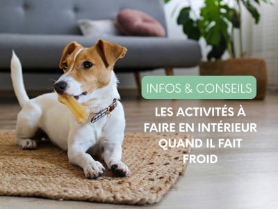 Les activités à faire en intérieur quand il fait froid