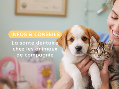 La santé dentaire chez les animaux de compagnie 