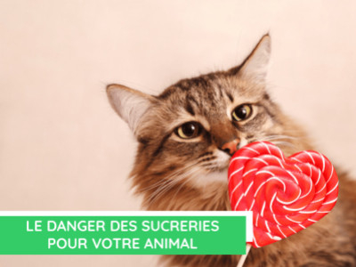 Le danger des sucreries