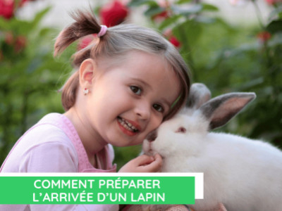 Préparer l'arrivée d'un lapin